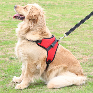 Adjustable Dog Harness 🐕‍🦺 Comfortable & Durable Pet Harness