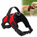 Adjustable Dog Harness 🐕‍🦺 Comfortable & Durable Pet Harness