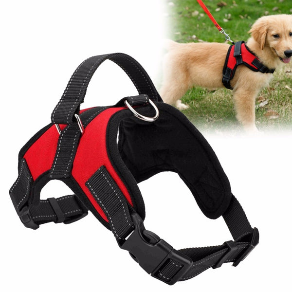 Adjustable Dog Harness 🐕‍🦺 Comfortable & Durable Pet Harness